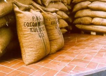 Cocoa Marketing Company to introduce 24-hour programme to boost cocoa export efficiency