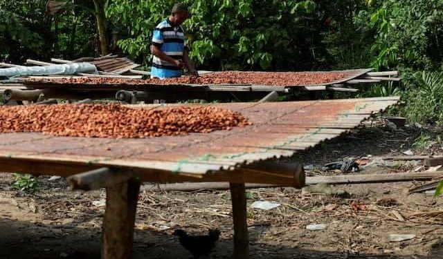 GH¢4bn cocoa buyers’ debt sparks funding concerns, but COCOBOD says obligations are normal