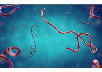 Ghana steps up Ebola screening after cases reported in Kenya, Nigeria