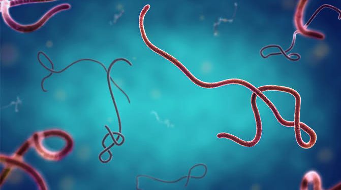 Ghana steps up Ebola screening after cases reported in Kenya, Nigeria