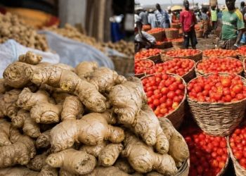 September inflation rises to 5.2% as tomatoes, ginger drive price pressures